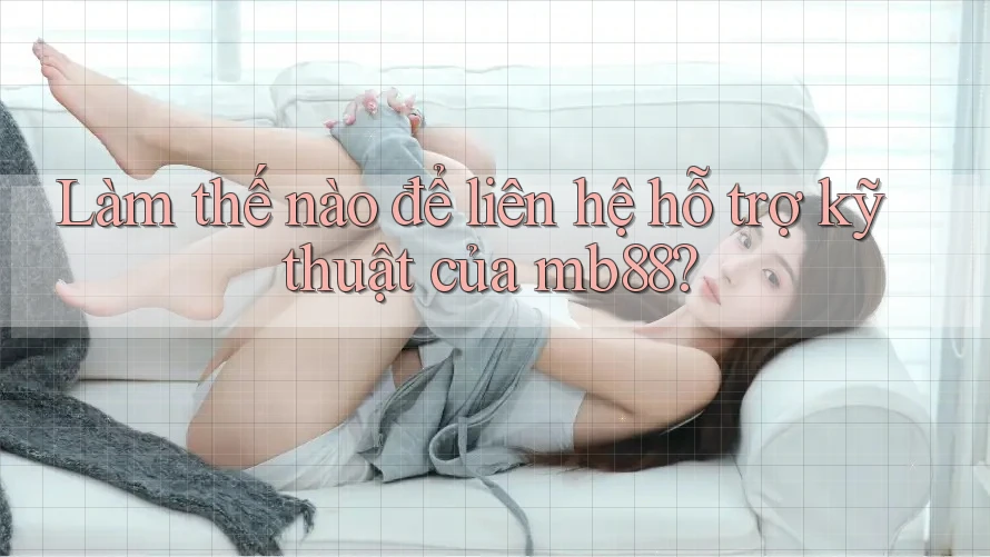 Làm thế nào để liên hệ hỗ trợ kỹ thuật của mb88?